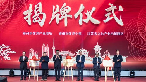 泰州方言设计荣获银奖，颁奖典礼见证文化传承